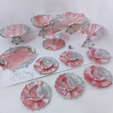 ظروف صورتی رزینی