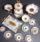 ظروف پذیرایی سفید طلایی رزینی